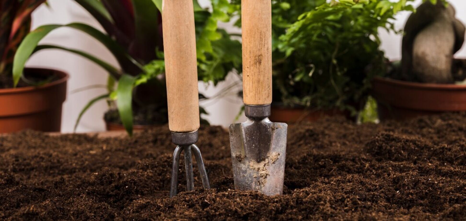 Як перевірити температуру ґрунту перед посадкою овочів: прості способи