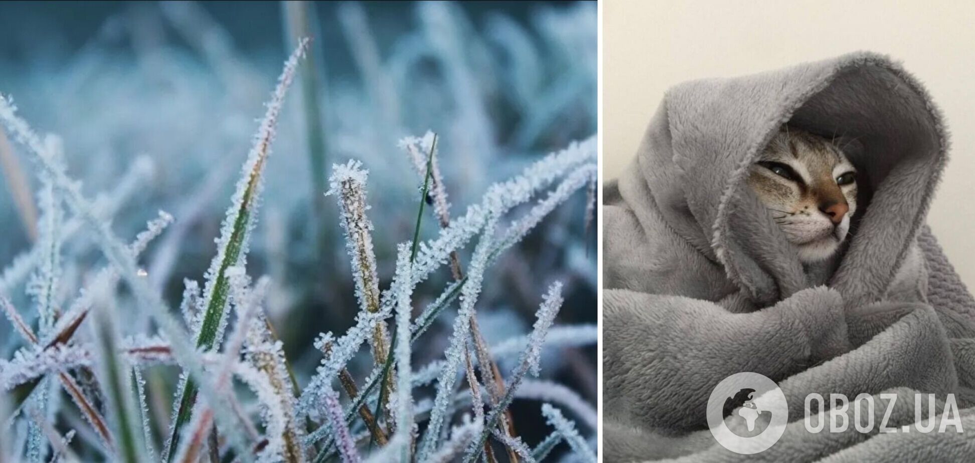 Синоптики предупредили о заморозках в Киевской области