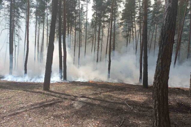 В Харьковской области пограничники уничтожили российский комплекс дистанционного минирования. Видео