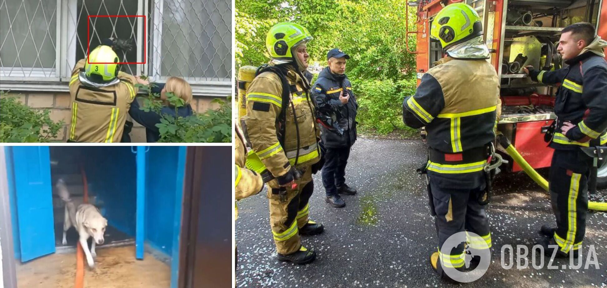 Рятувальники винесли на свіже повітря більше 10 тварин