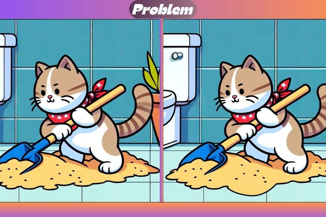 Знайдіть три відмінності на картинці із котом: завдання для найуважніших