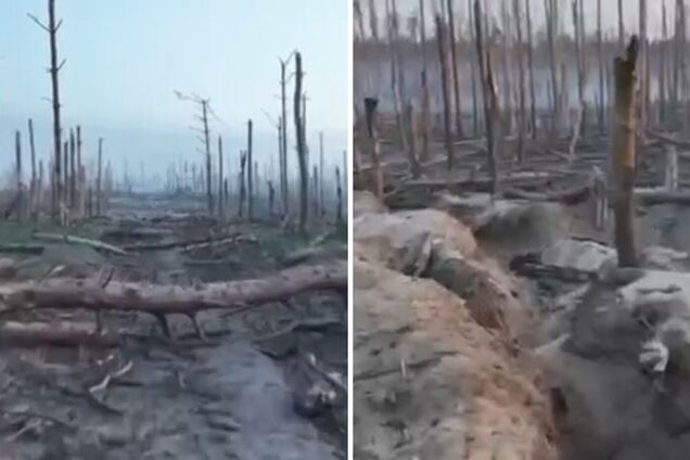 Появились подробности успешного наступления бригад 'Азов' и 'Буревий' в Серебрянском лесничестве