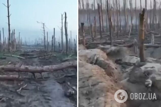 'Земля, умоляющая о возмездии': военные показали 'постапокалипсис' в Луганской области. Видео