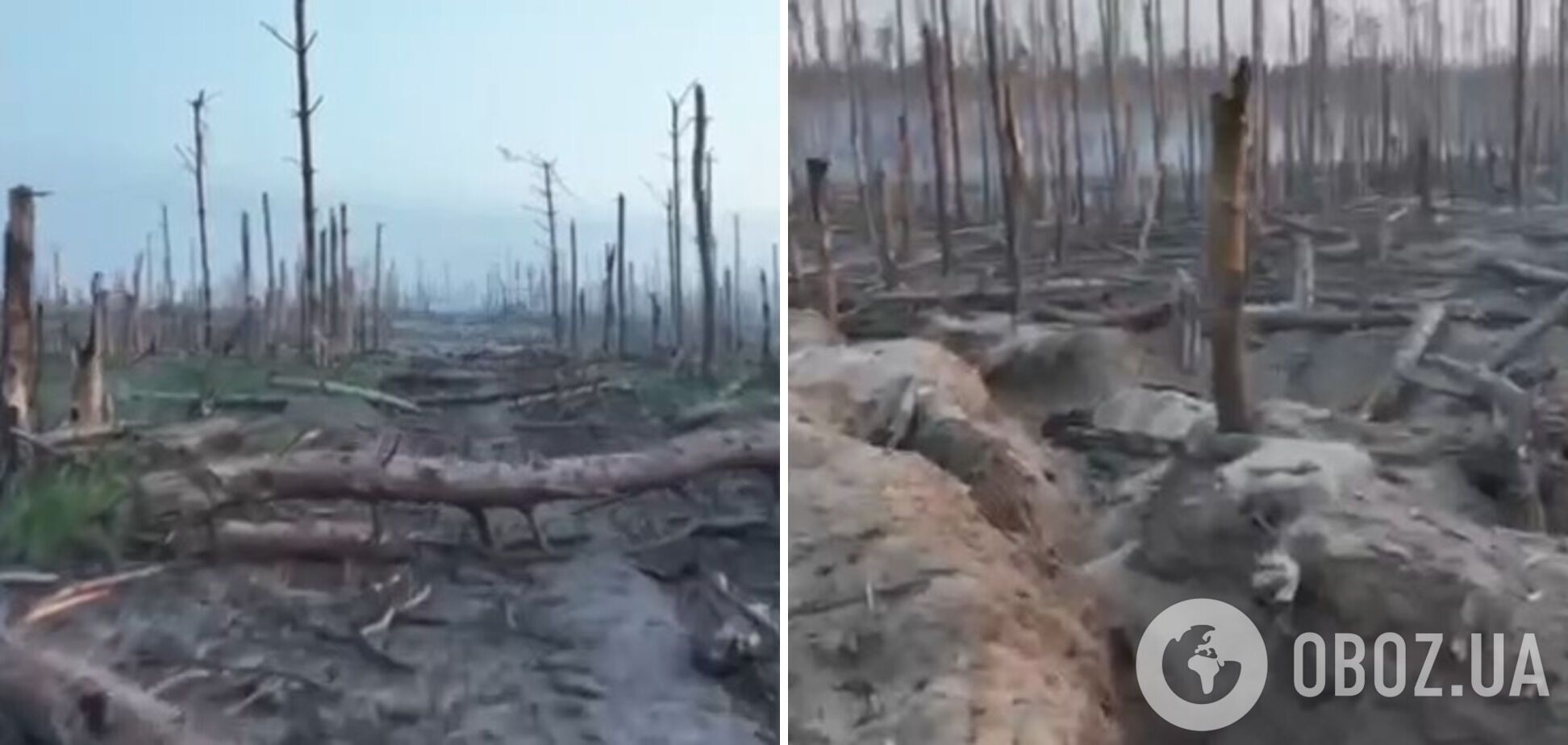 'Земля, умоляющая о возмездии': военные показали 'постапокалипсис' в Луганской области. Видео