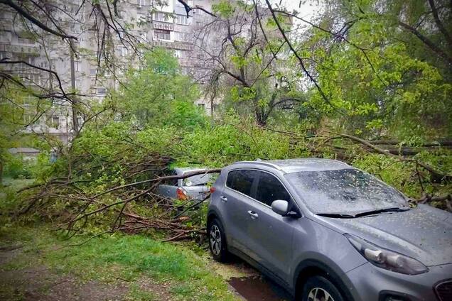 В Одесі буревій викорчовував дерева та трощив авто. Фото та відео негоди