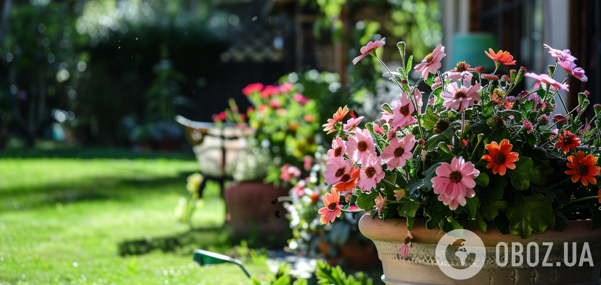 Аромат будет ощущать вся улица: какие цветы посадить на лето на клумбе