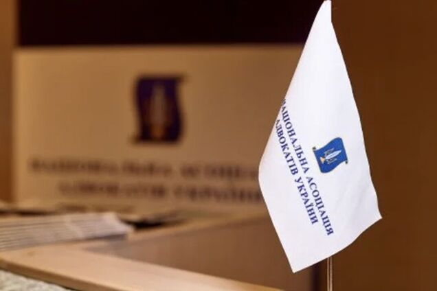 Вчена-конституціоналіст Ставнійчук: НААУ не є громадською організацією