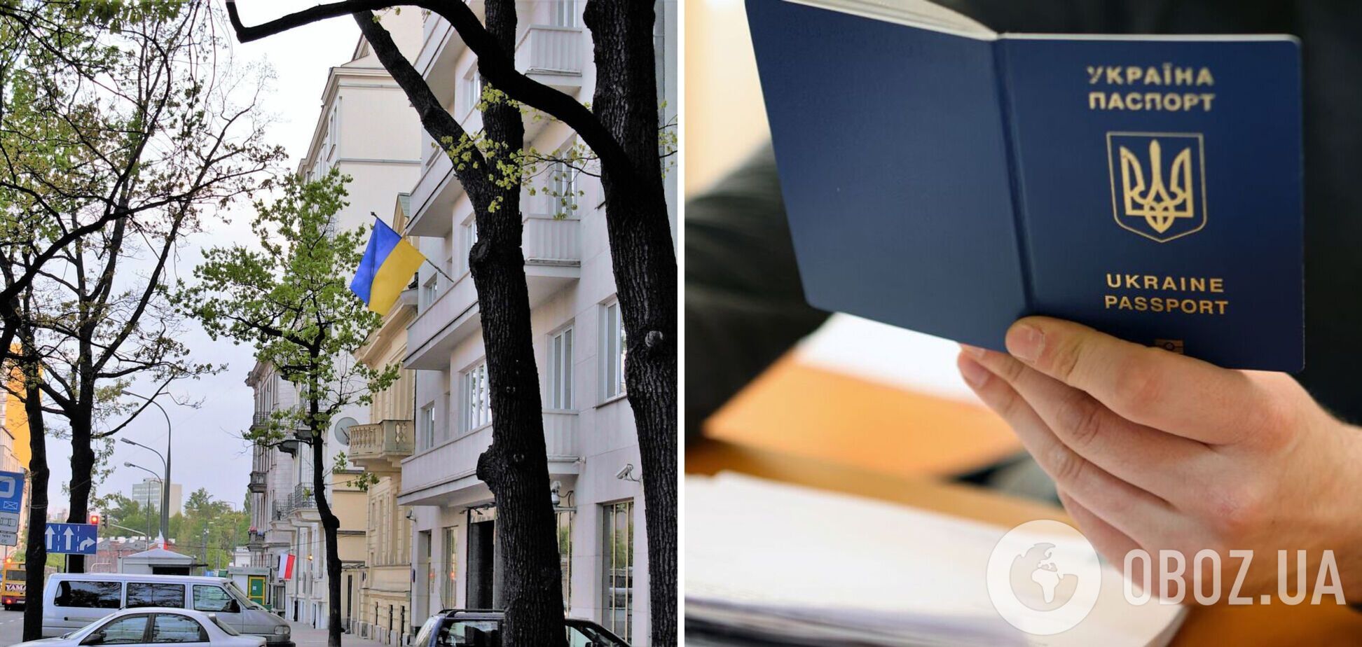 ’Берем к сведению’: в ЕС отреагировали на остановку предоставления консульских услуг украинским мужчинам за границей
