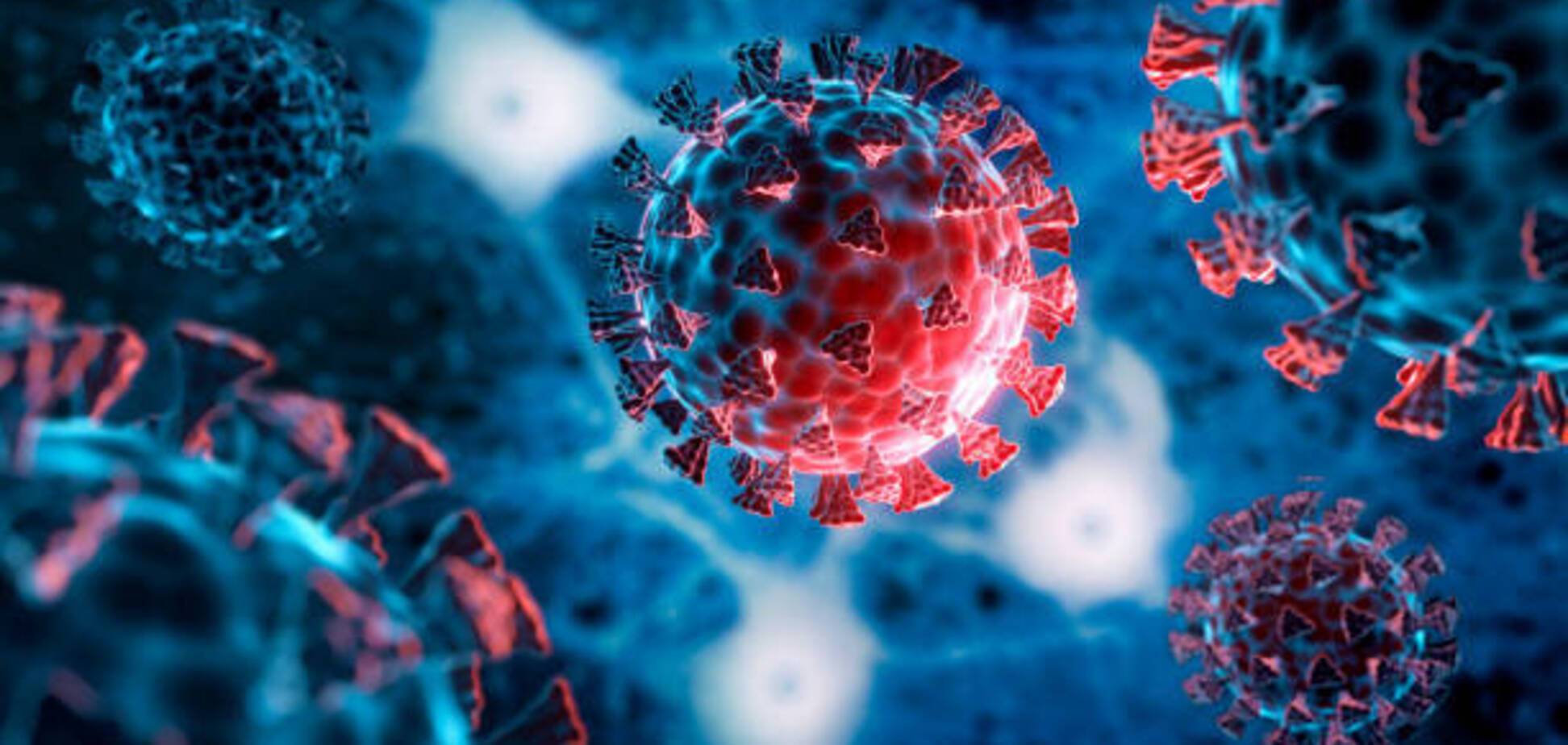 Человечество живет в симуляции? Физик изучал коронавирус и наткнулся на удивительный нюанс