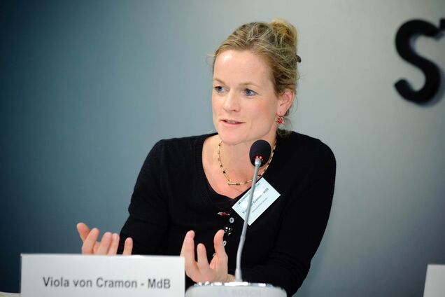 Украине необходимо включить оппозицию в исполнительные органы власти, – евродепутат