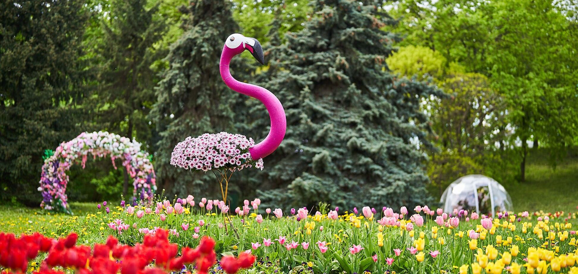 Весняний сезон розпочато: у парку Співоче відкрилась виставка квітів