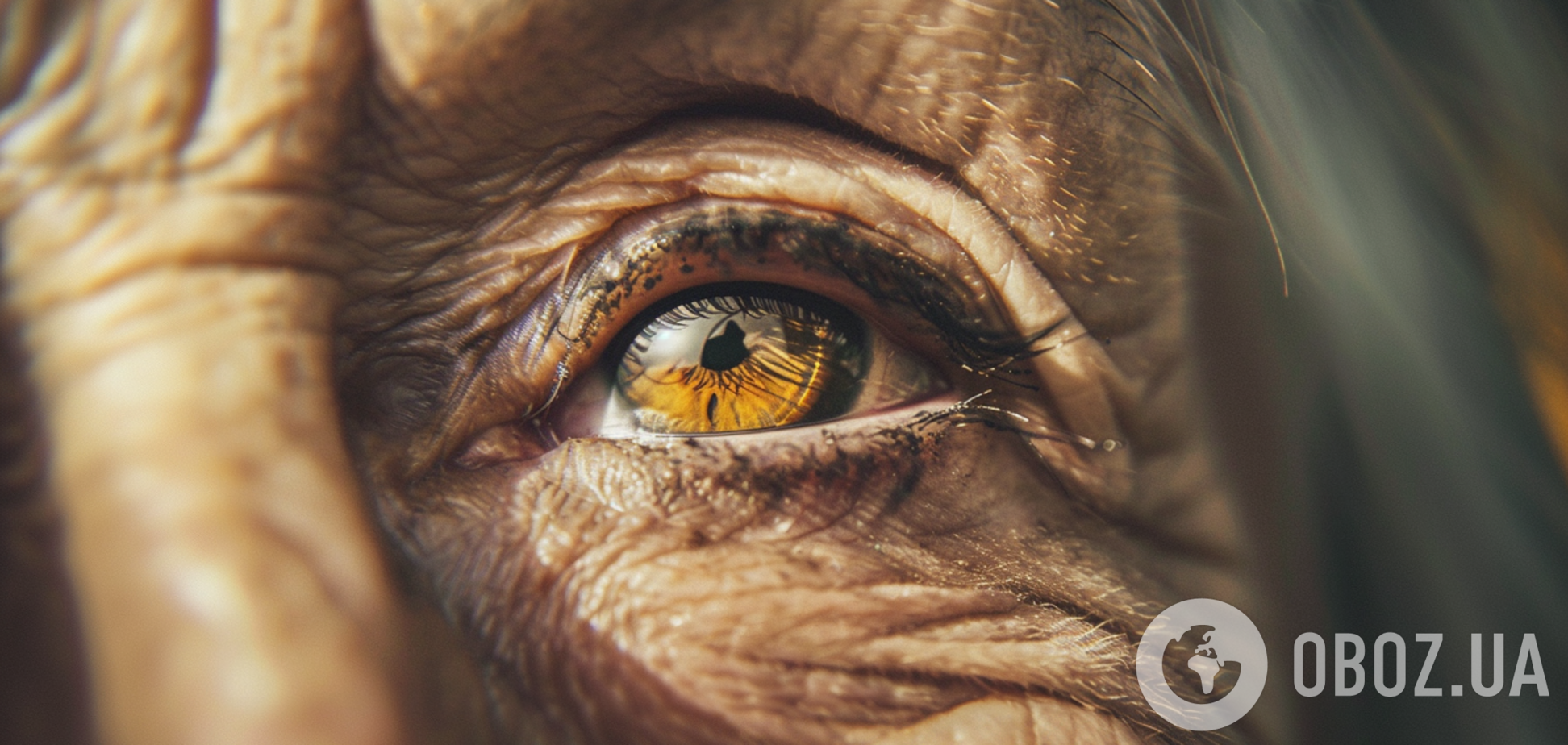 Как избежать образования морщин вокруг глаз: поможет лайфхак с тушью