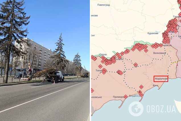 Были высажены еще в 80-х: оккупанты массово спиливают деревья в Мариуполе. Фото