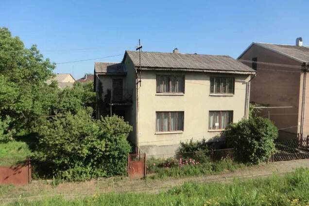 На Закарпатье продают дом у берега Тисы на границе с Румынией