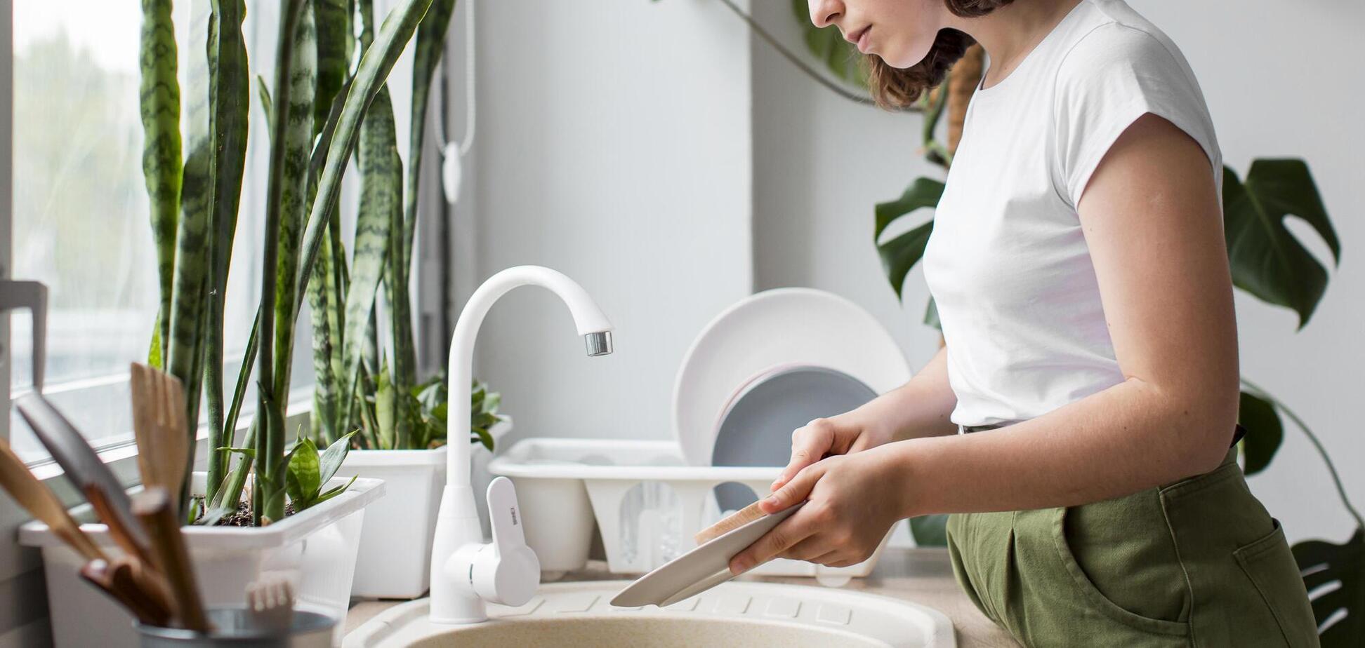 Не лише тарілки: що можна мити вдома з засобом для миття посуду