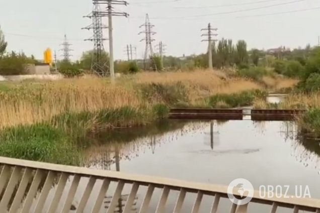 Оккупанты превратили реку Кальчик в Мариуполе в болото: Андрющенко рассказал об еще одном преступлении врага. Видео