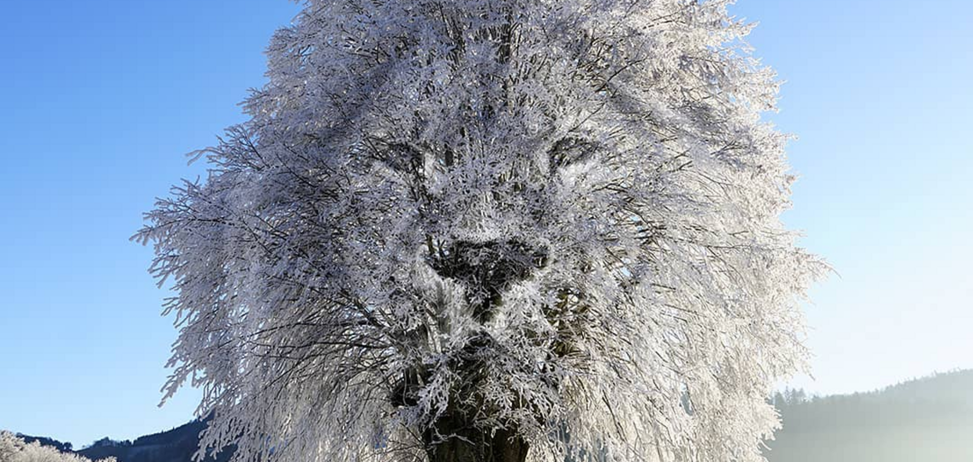 Хто ви у стосунках: оптична ілюзія розкриє приховану правду