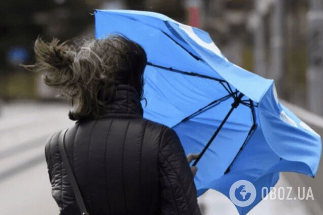 В Киеве два дня подряд фиксировали рекорды максимальной скорости ветра