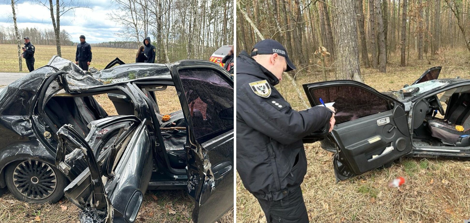 На Черниговщине в результате падения дерева на авто погибли супруги, их 10-летняя дочь выбралась из машины самостоятельно: детали трагедии. Фото