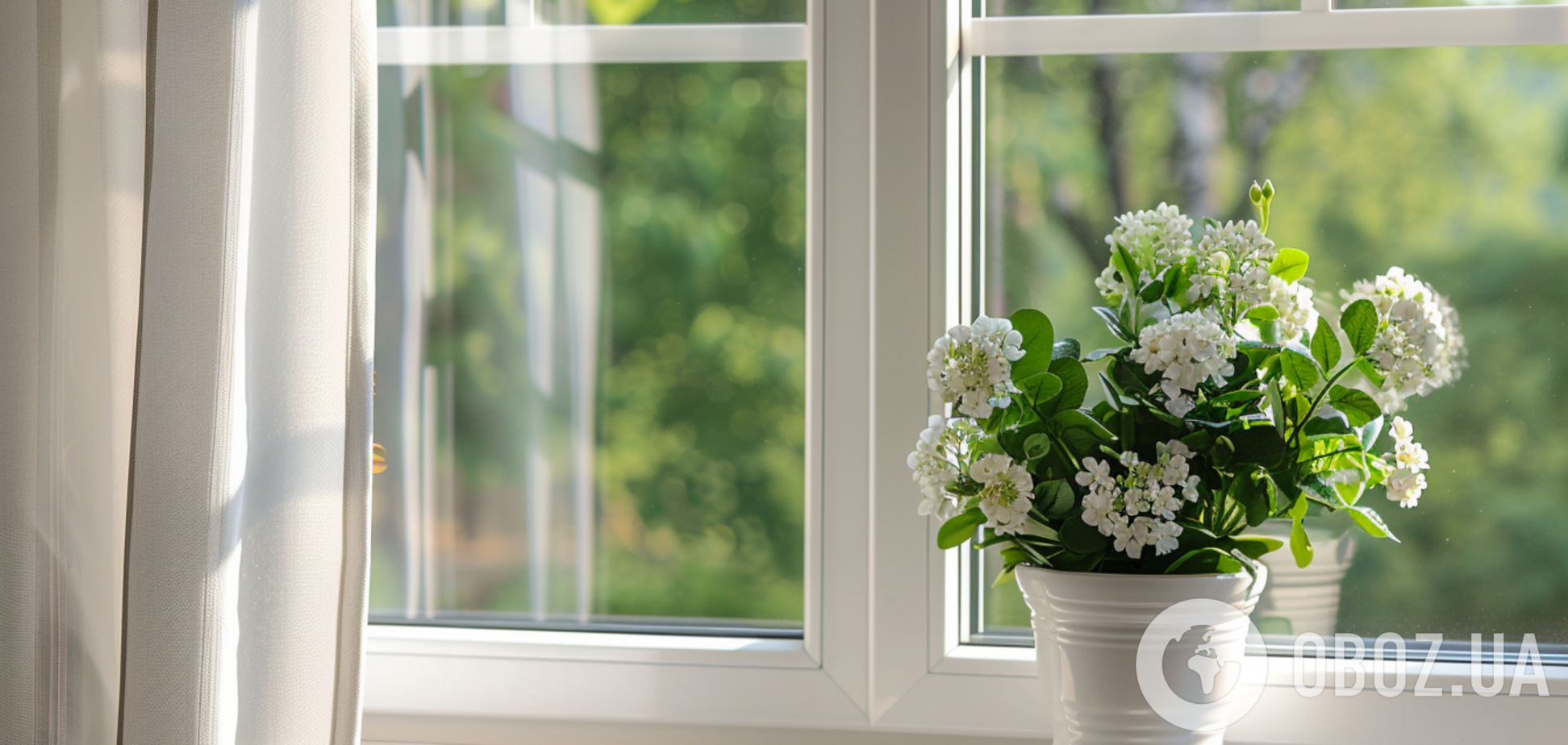 Чем натереть окна, чтобы они сверкали чистотой даже после дождя: метод, о котором мало кто знает