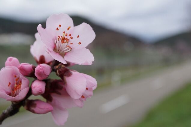 Україну на вихідних накриють дощі: синоптики дали детальний прогноз. Карта
