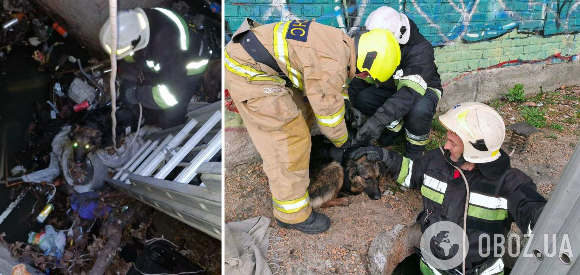 Рятувальники прийшли на допомого чотирилапому