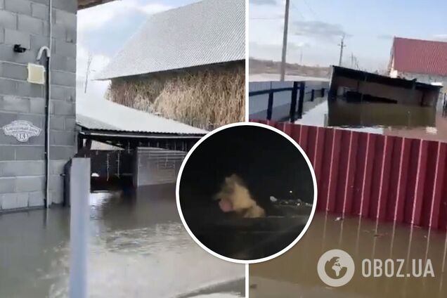 Карма за Каховку и ДнепроГЭС? В российском Орске прорвало дамбу, может затопить десятки городов и сел. Видео