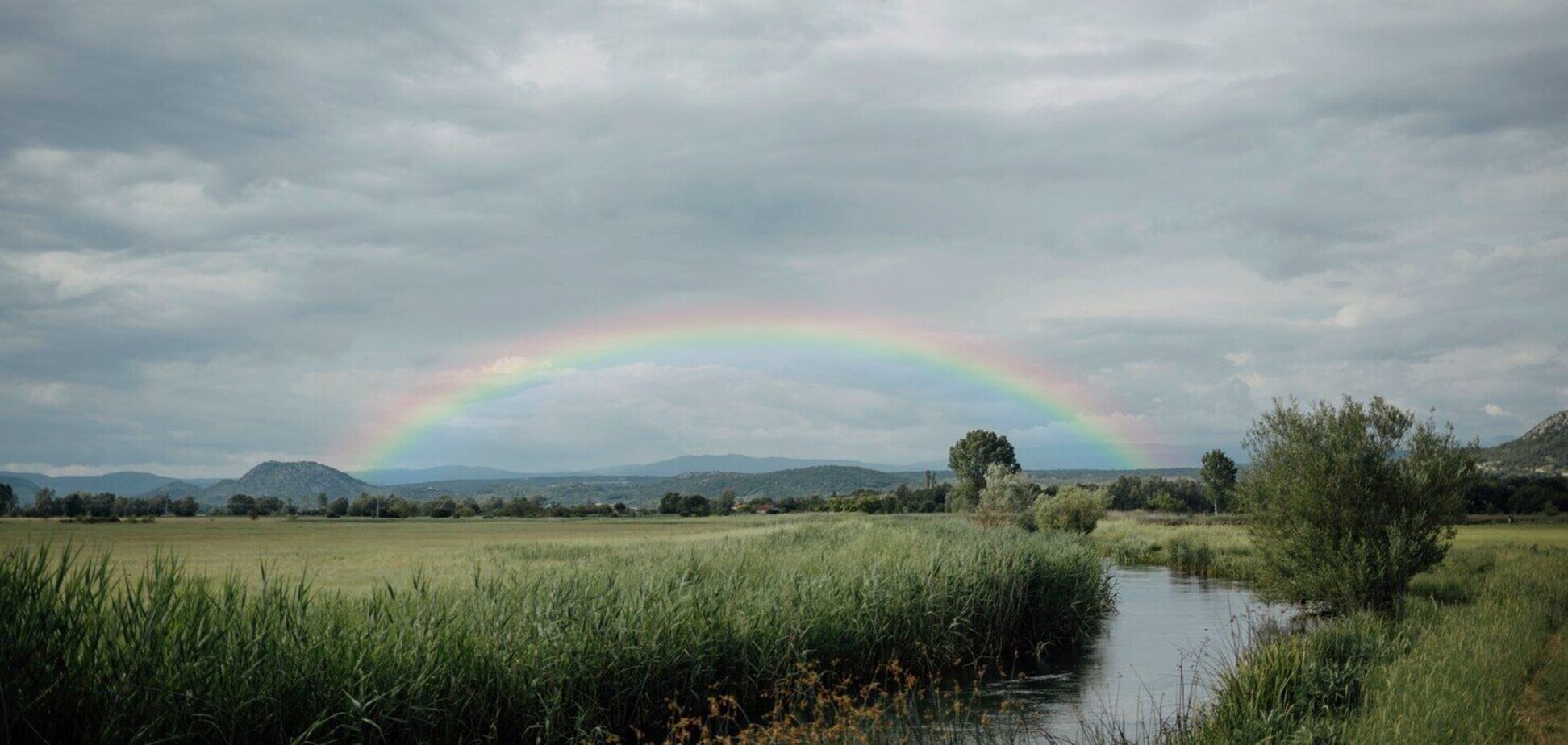 Весна набирає обертів: синоптики дали прогноз погоди на неділю, 7 квітня