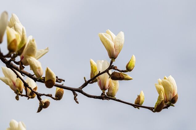 Прогноз погоды