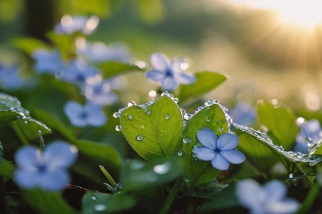 25 градусов тепла и без осадков: синоптики дали прогноз погоды на вторник, 9 апреля