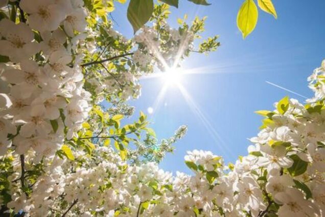 Погоду в Украине будет определять антициклон: синоптики уточнили прогноз на среду. Карта