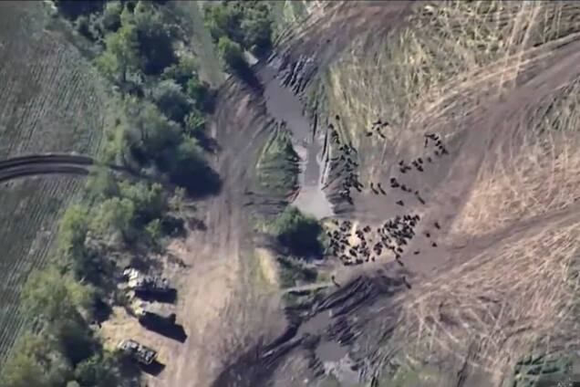 Работал ATACMS? В сети показали, как защитники Украины ударили по полигону с оккупантами в Луганской области. Видео