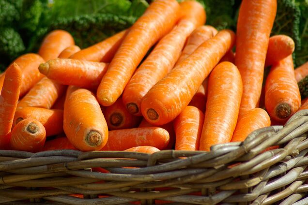 Незамінний коренеплід: переваги моркви для здоров’я 