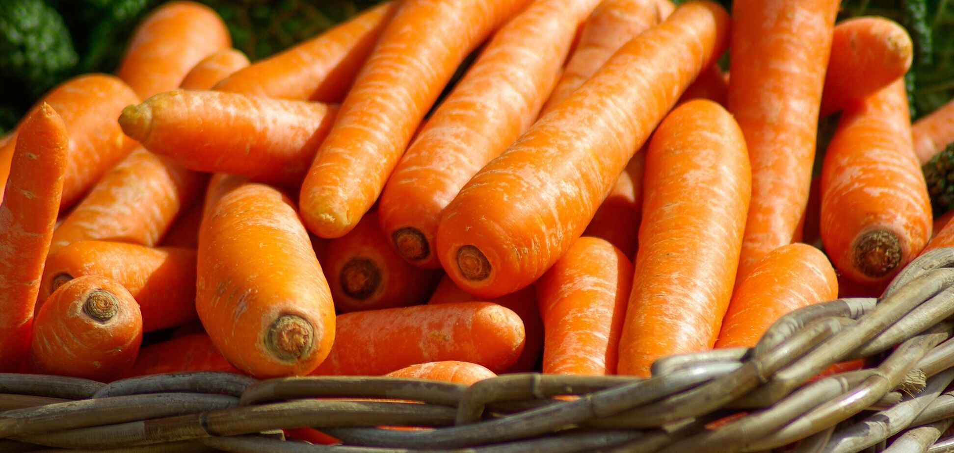 Незаменимый корнеплод: преимущества моркови для здоровья