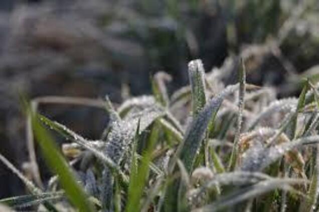 Снова заморозки на поверхности почвы: синоптики дали прогноз погоды на среду, 15 мая
