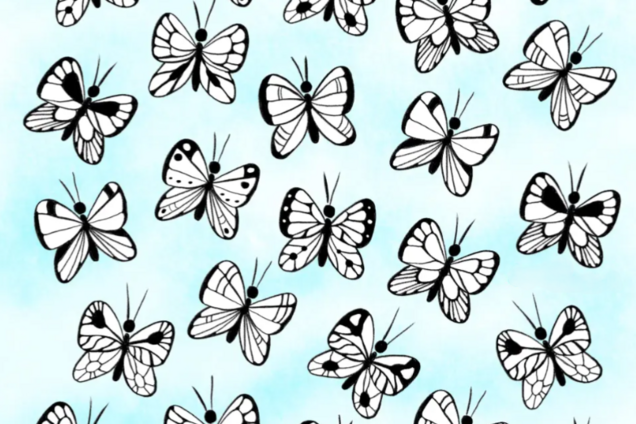 Головоломка на внимательность: найдите бабочку с уникальным узором