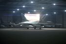 Чехия передала Украине первый тренажер истребителя F-16: Олещук показал видео и раскрыл подробности