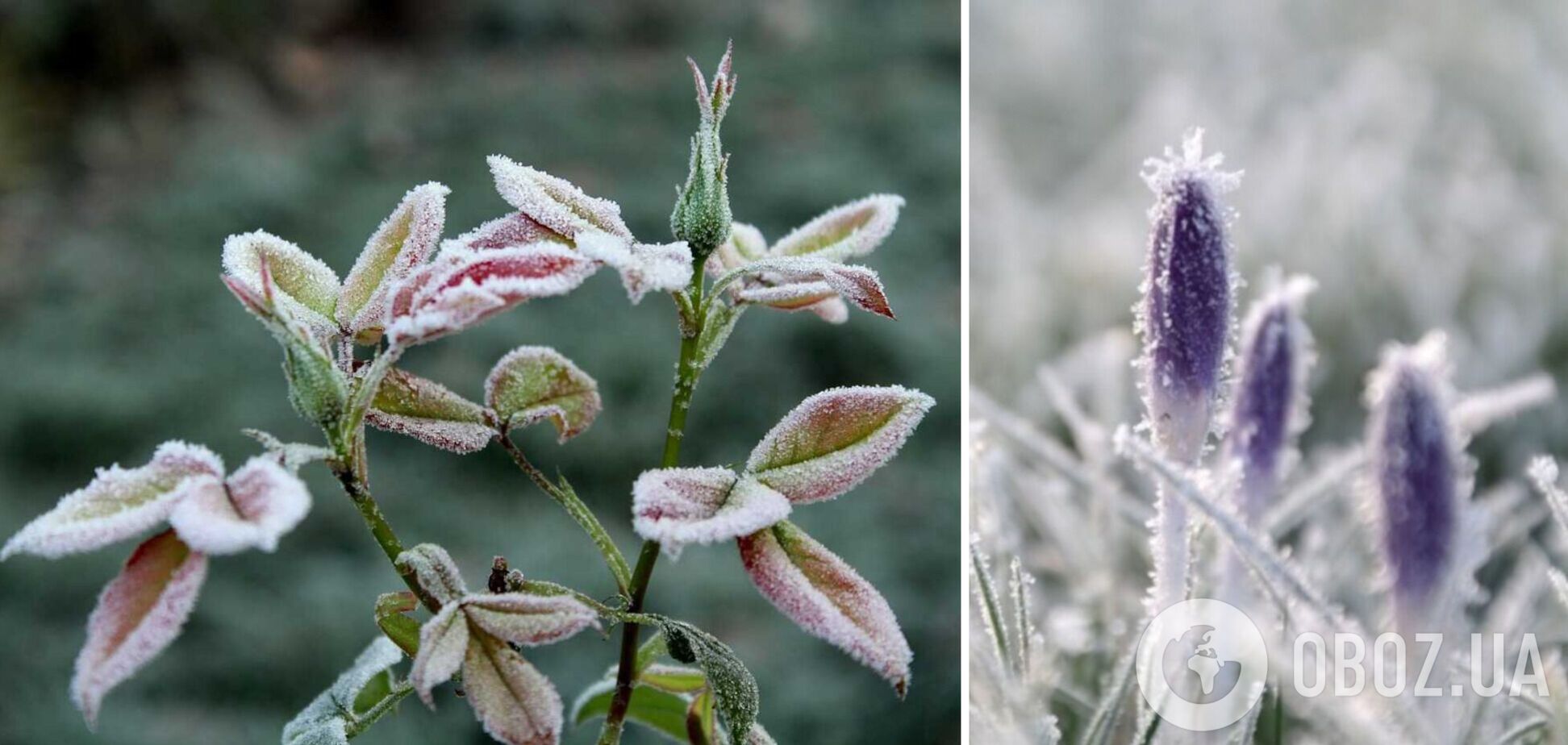 Объявлен I уровень опасности, желтый