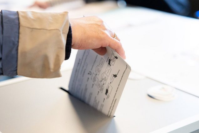 В Литве начались президентские выборы и референдум: все детали
