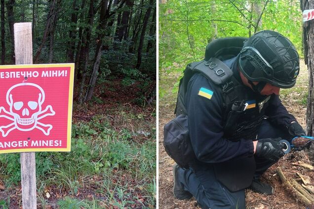 Чтобы обезвредить гранаты, на место вызвали саперов ГСЧС