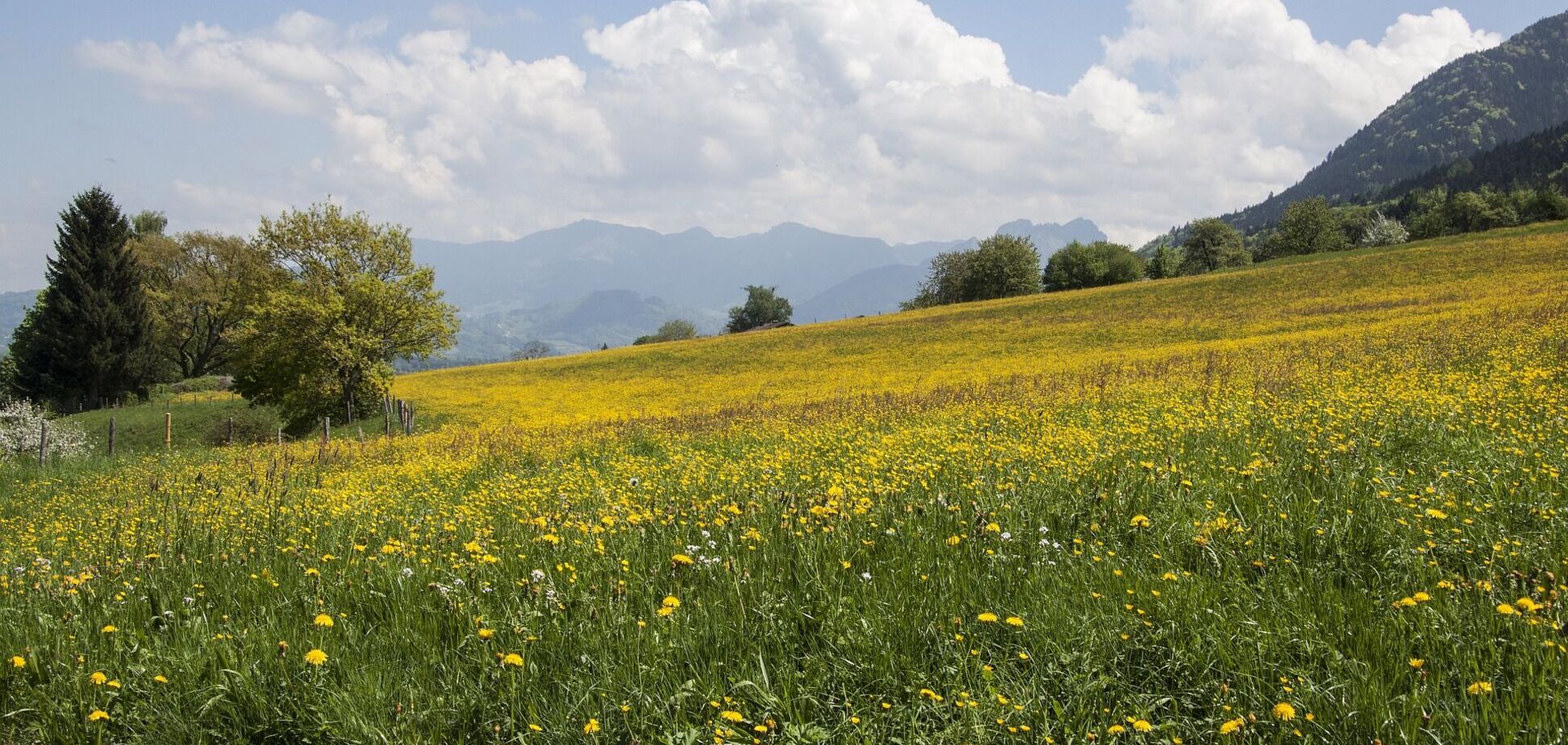 Спеки не буде? Синоптикиня розповіла, якої погоди чекати в травні в Україні
