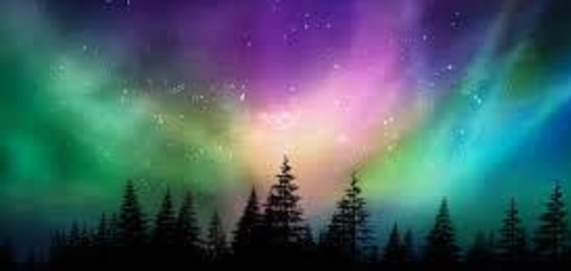 Деревні кільця розкрили вченим таємниці найбільшої сонячної супербурі сучасності