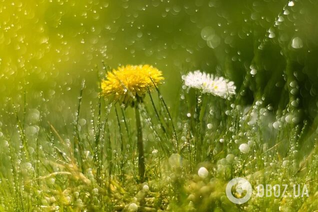 На большей части территории без осадков: синоптики дали прогноз погоды на воскресенье, 26 мая.