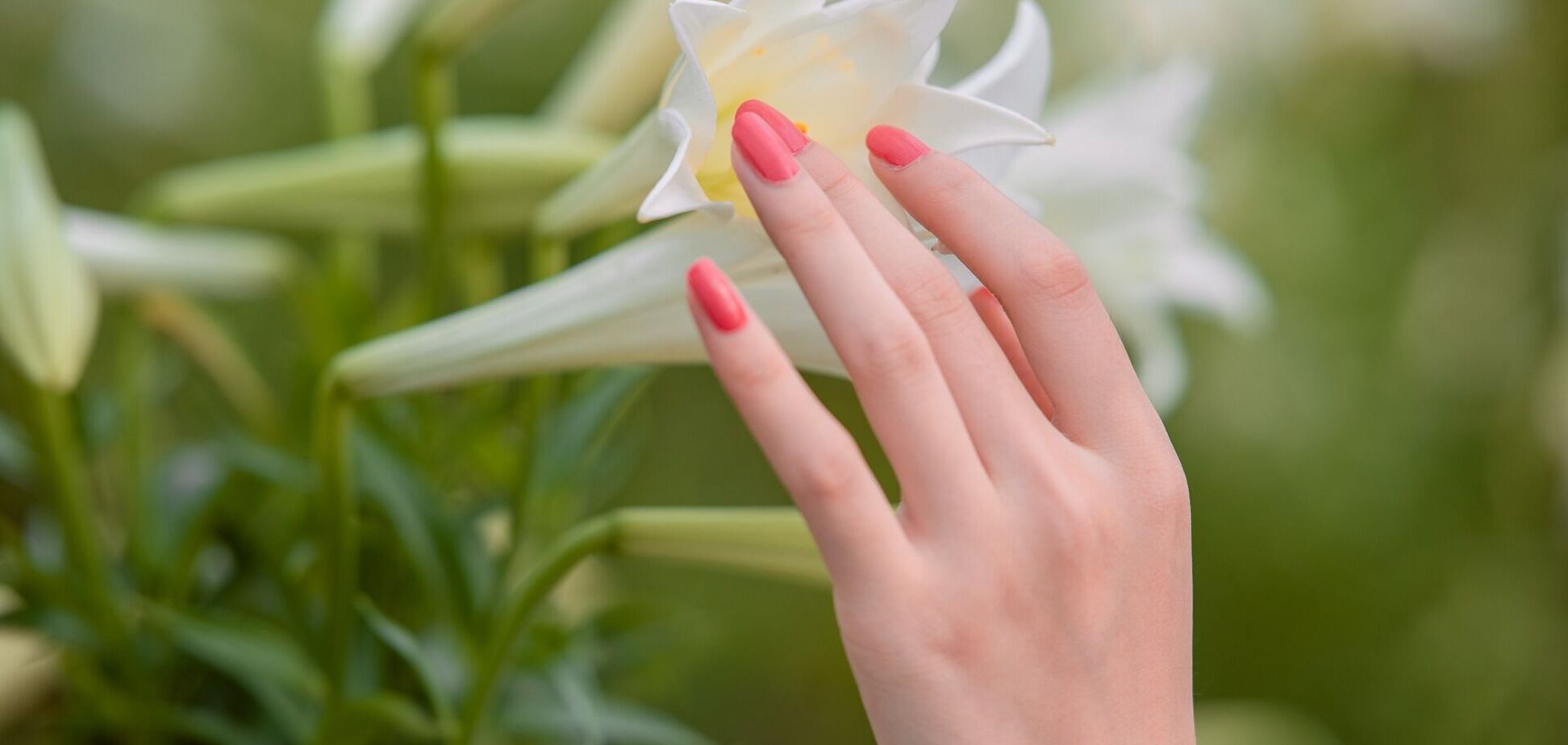 Оксамитова шкіра та доглянута кутикула: який догляд потрібен рукам