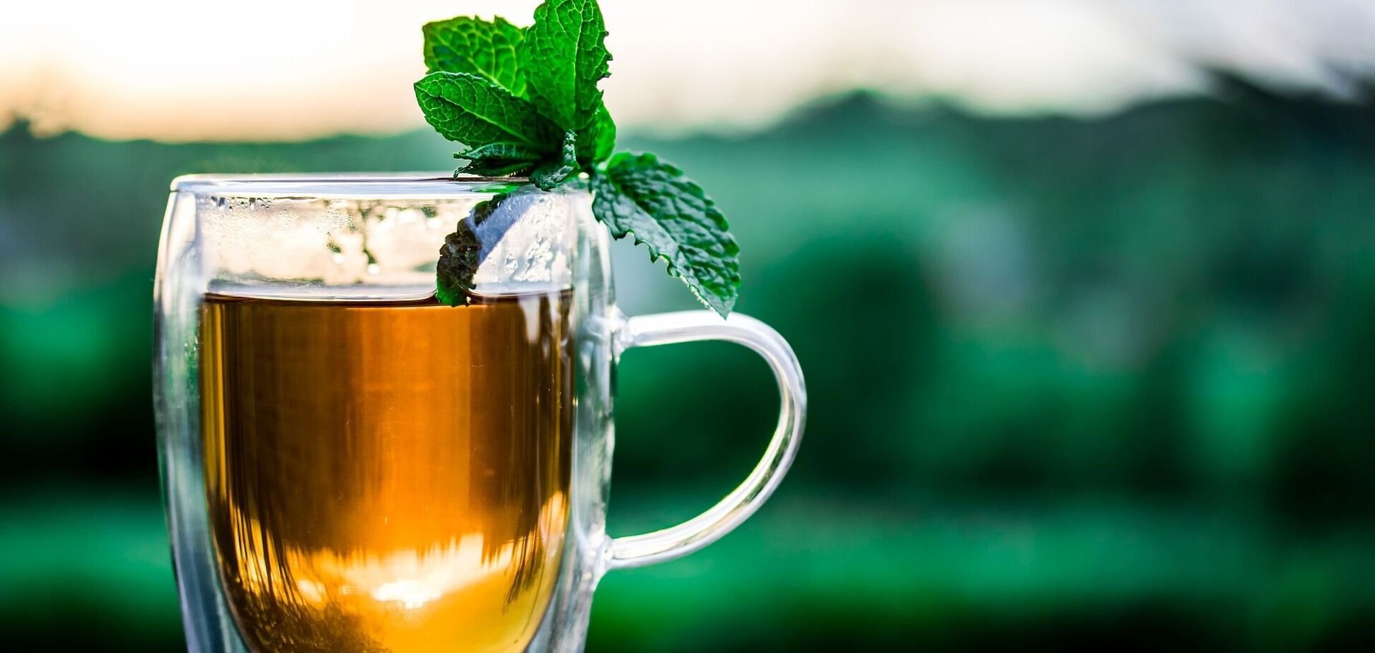 Випити чаю, щоб схуднути: 5 видів напою, що ефективно позбавляють зайвої ваги