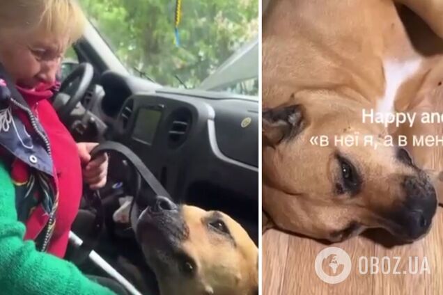 'Все, что у меня есть – это она. А у нее – я': сеть тронуло видео с жительницей Волчанска, которая была вынуждена расстаться с собакой во время эвакуации