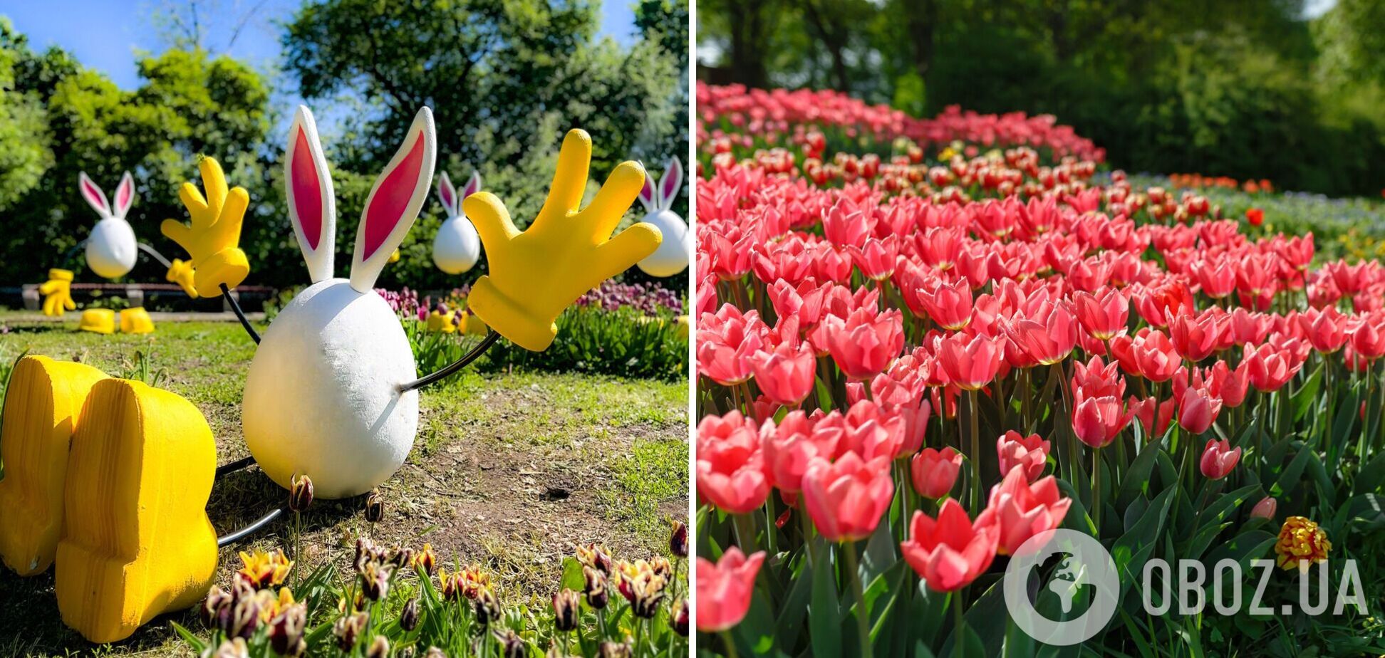 Кролі, пасхальні яйця та сотні тисяч квітів: на Співочому яскраво відзначатимуть Великдень 
