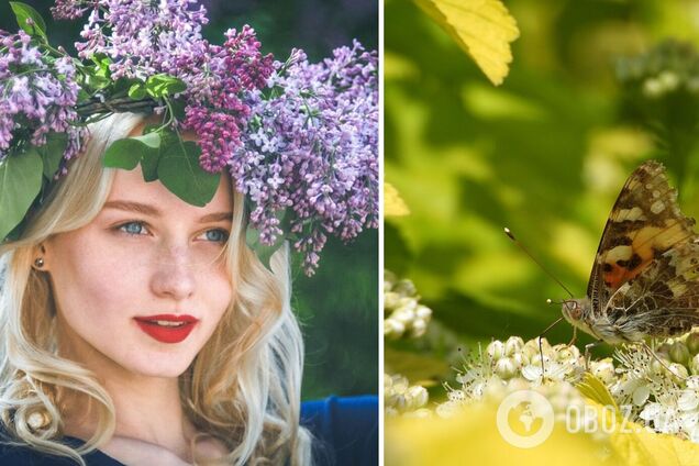 Малооблачно и без осадков: синоптики дали прогноз погоды на пятницу, 3 мая