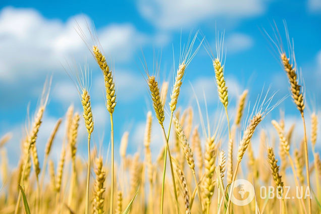 Христос Воскрес! Найкращі патріотичні привітання з Великоднем: вірші та проза