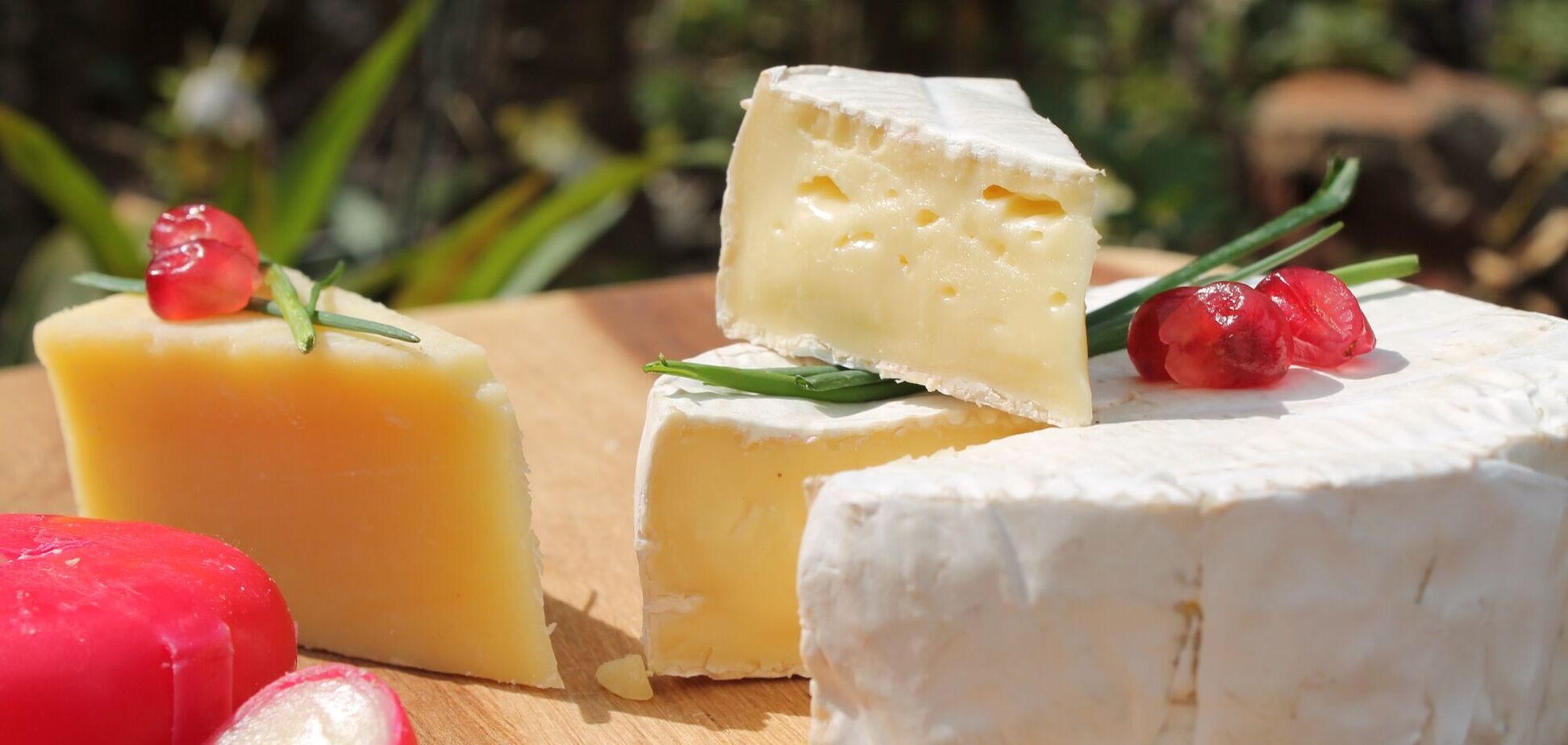 Джерела білку для веганів: продукти, які можуть замінити м’ясо та рибу